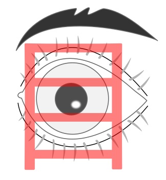 il kanji 'occhio'